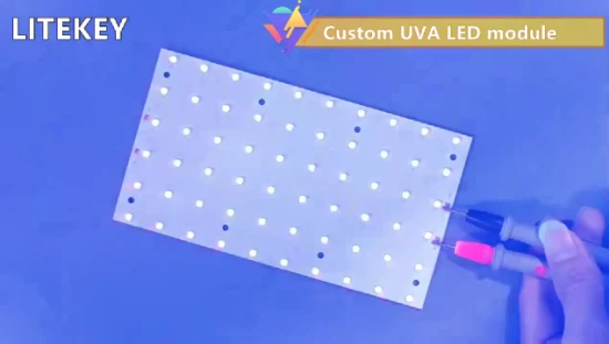 Módulo LED UVB 308nm 310nm 12V 50MW 80MW para suplemento de cálcio para animais de estimação